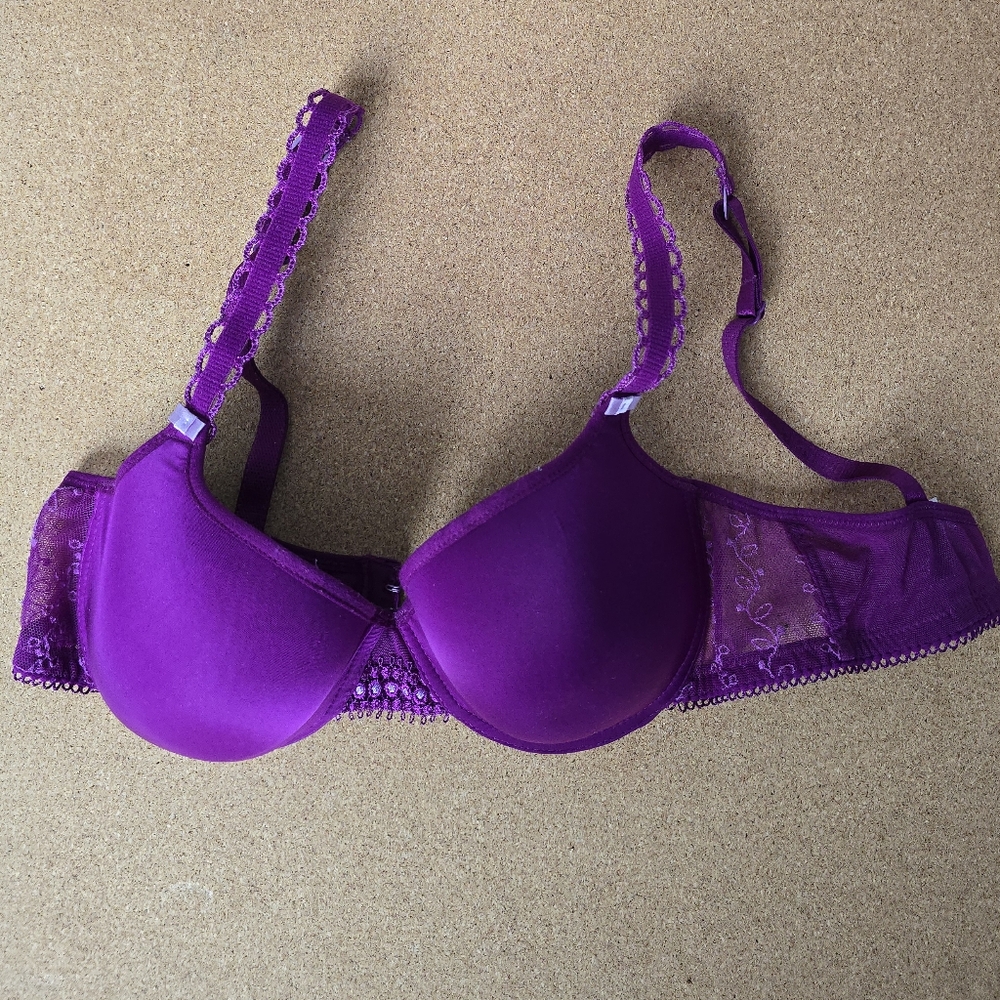 Passionata Chantelle Smooth Cup Underwire T-Shirt Bra With Lace Accent (fuchsia)